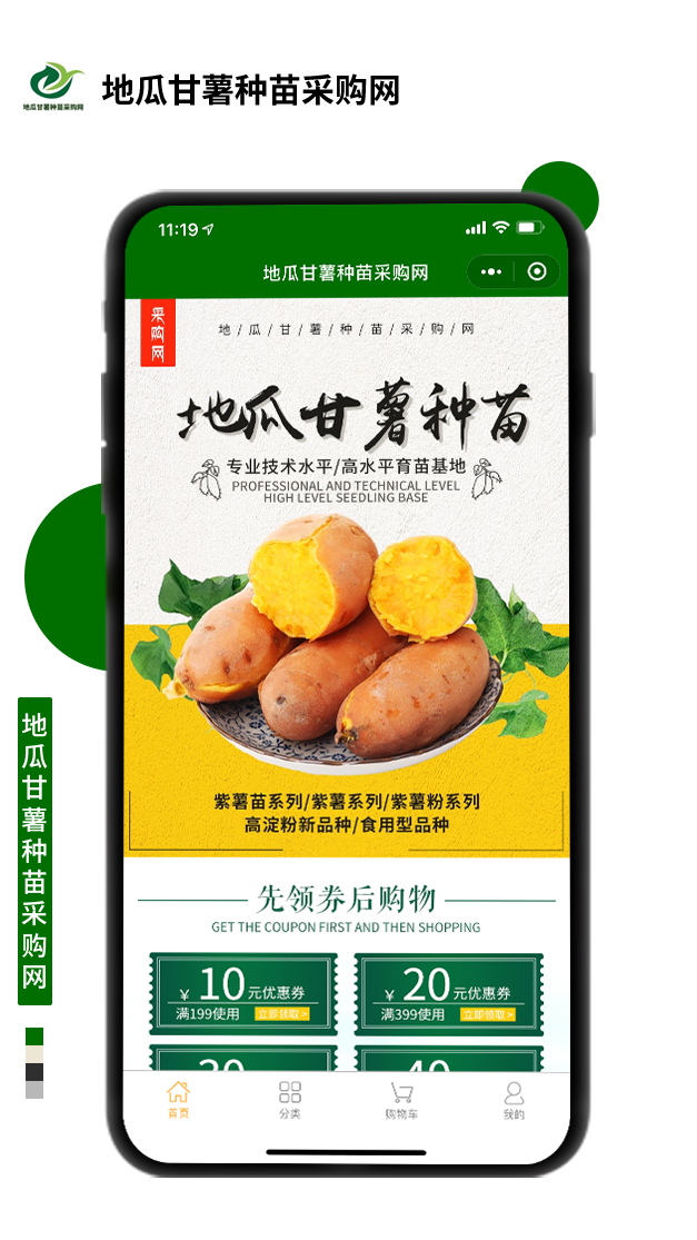 地瓜甘薯种苗采购网